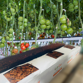 Cocopeat 1 ADET. 100x15x12