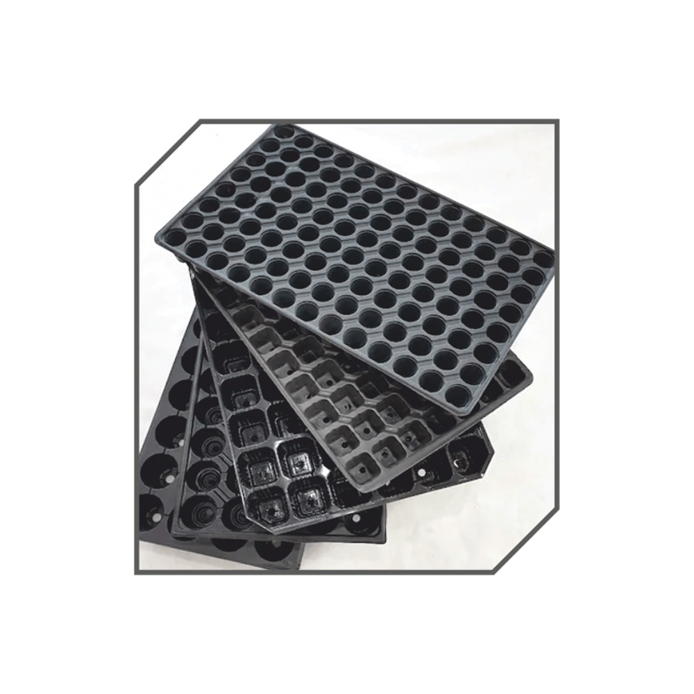 İnsort Viyol 10 adetli