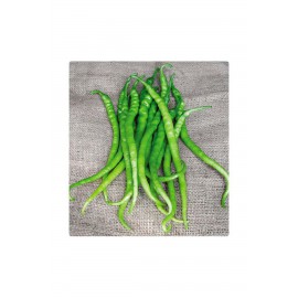 Acı Sivri Kıl Biber Fidesi 200 adet 1 koli