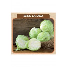 Beyaz Lahana Tohumu