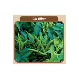 Cin Biber Tohumu