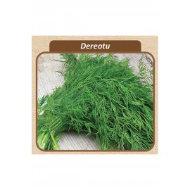 Dereotu Tohumu