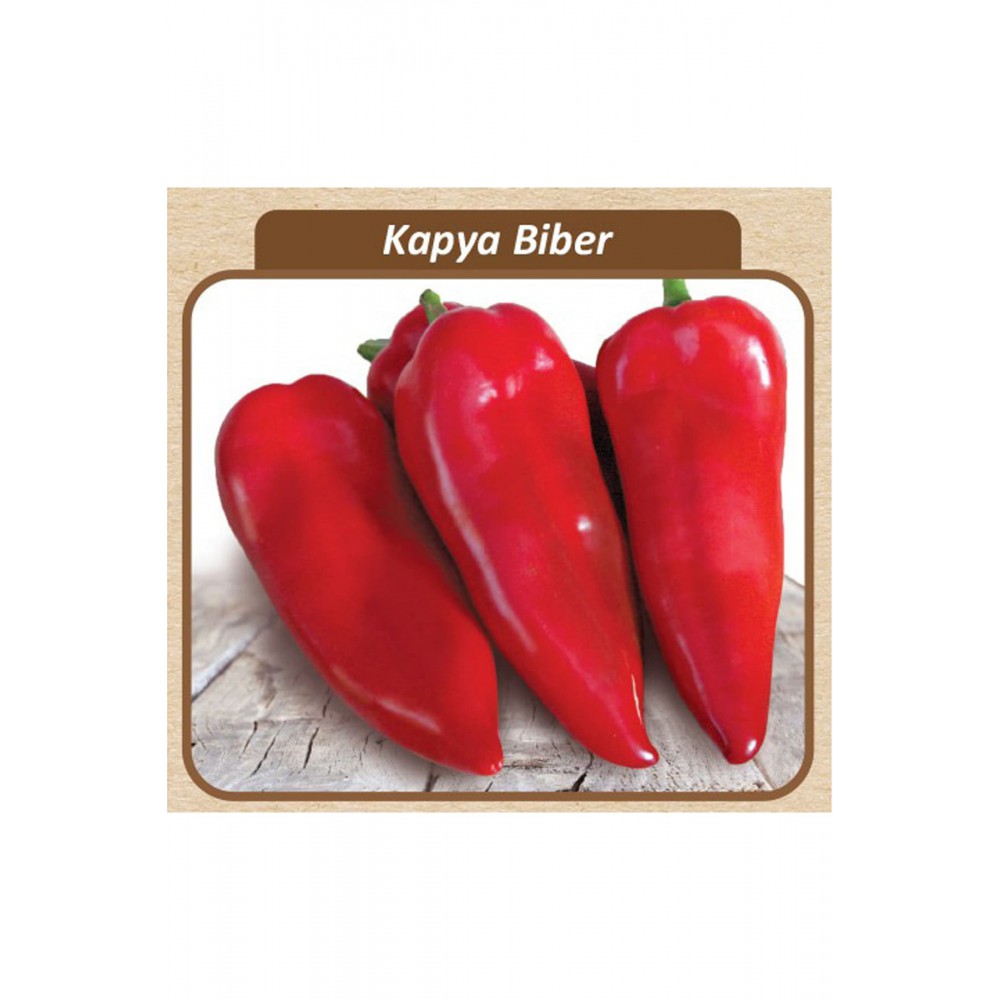 Kapya Biber f1 Tohumu 1 000 adet lik pk