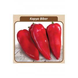Kapya Biber f1 Tohumu 1 000 adet lik pk