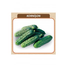 Kornişon Salatalık Tohumu standart 