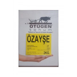 Ötügen Öz Aşye Sırık fasulye 2 kg